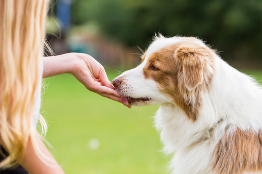 Positive Attention vs. Negative Attention: Understanding the Impact on Behaviour