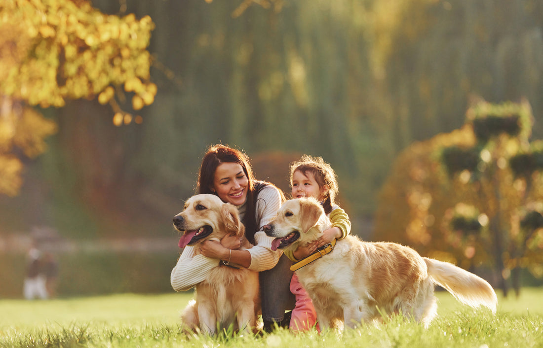 Pet Parks and Playdates: Building Community Through Pet Ownership