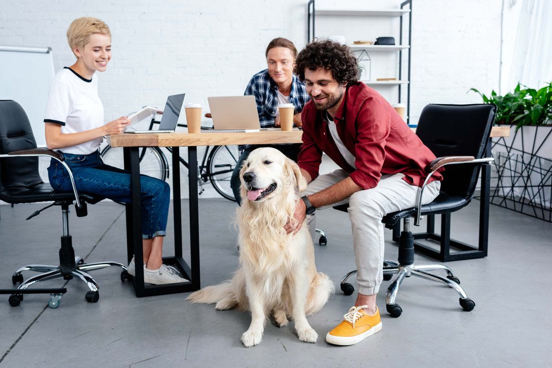 Workplace Woofs: How Pets Improve Team Dynamics and Collaboration in Professional Settings