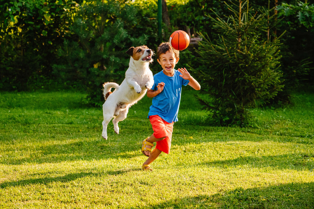 Healthier, Happier Kids: The Physical and Mental Health Benefits of Growing Up with Pets