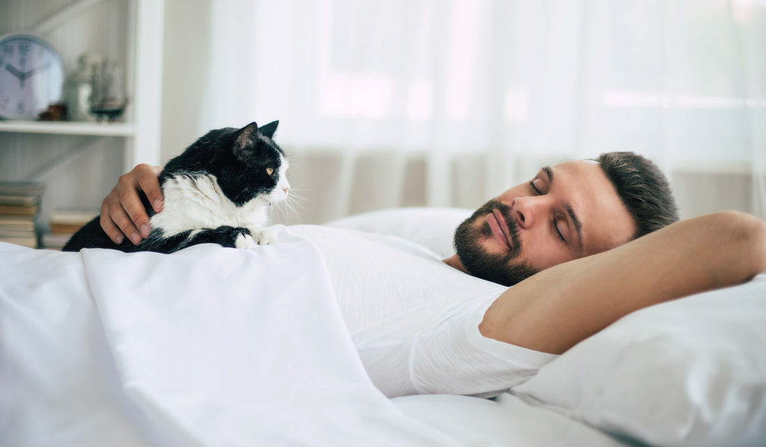 From Anxiety to Serenity: How Pets Can Ease Stress and Anxiety