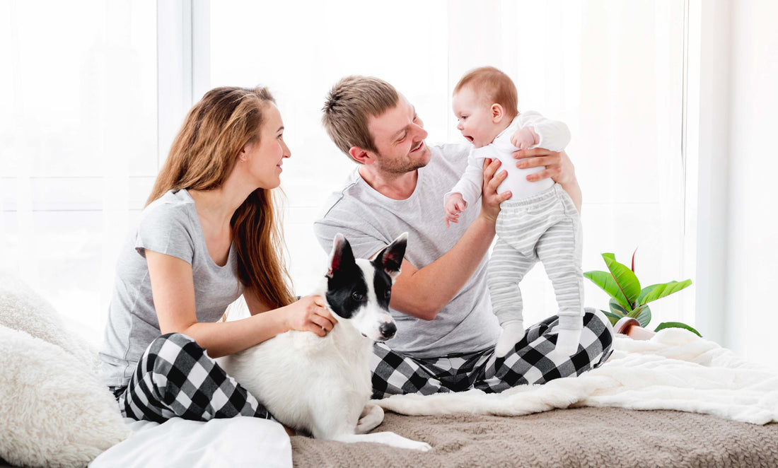 Fur Babies to Human Babies: Transitioning from Pet Parenting to Parenthood