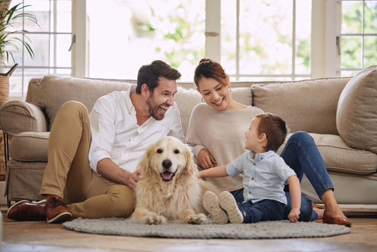 Furry Therapists: The Emotional Benefits of Pets for Every Member of the Family