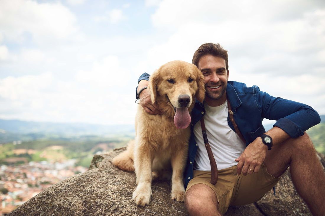 Furry Friends and Mental Wellness: The Impact of Pet Ownership