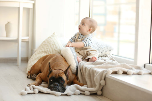 Stress-Free Transitions: How Having a Pet Eases the Journey into Parenthood