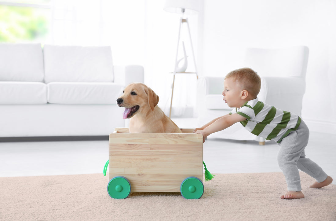 Paws for Play: Exploring the Importance of Pet Interaction in Child Development