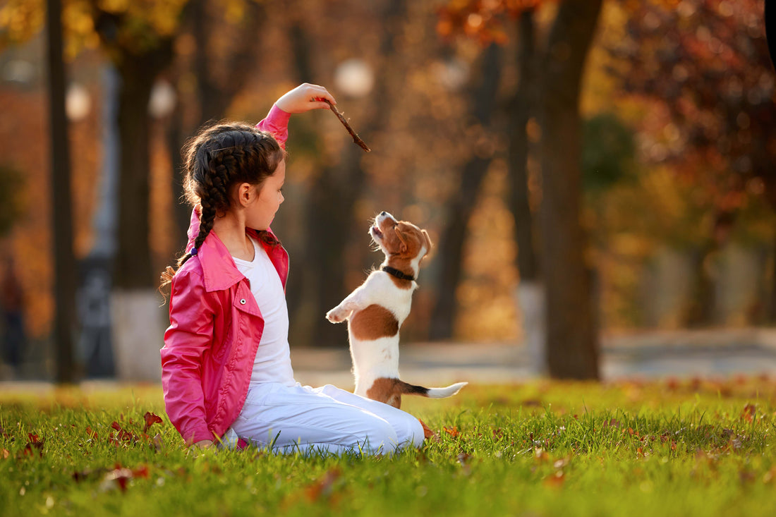 Teaching Compassion: How Caring for a Pet Instills Empathy in Children