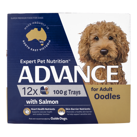 ADVANCE Dog Adult Oodles 100g (12pk)