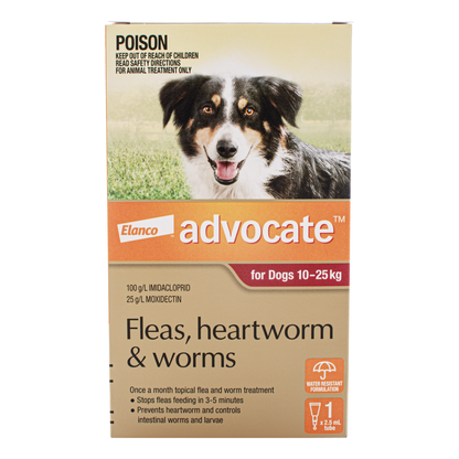 Advocate Dog Large 10-25kg Red