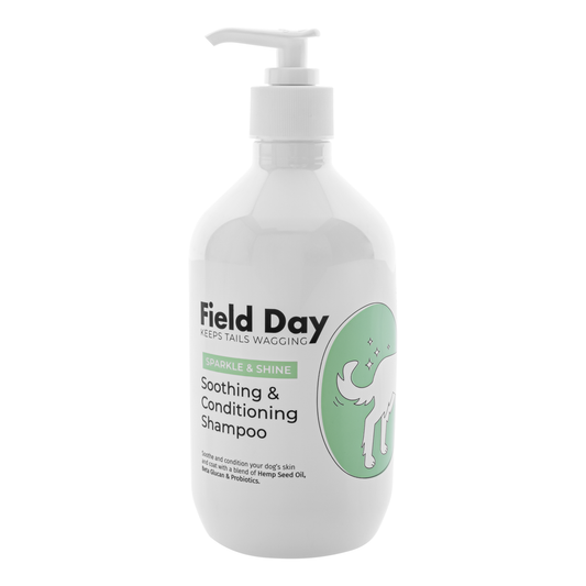 Field Day Sparkle & Shine Conditioning Shampoo 500ml