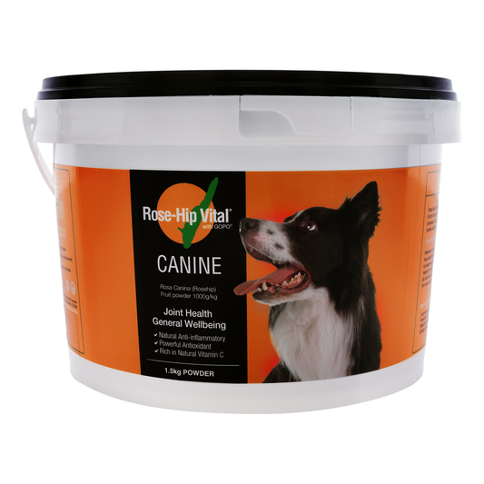 Rose Hip Vital Canine