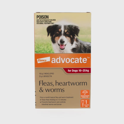 Advocate Dog Large 10-25kg Red