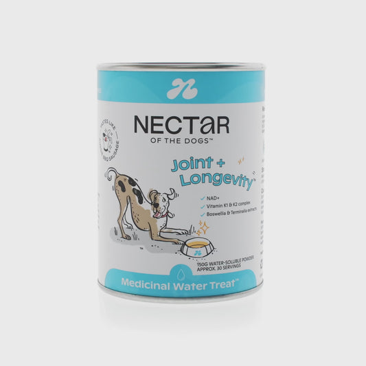 Nectar Joint & Longevity Soluble Powder 150g