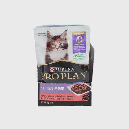 PRO PLAN Kitten Salmon with Gravy 85g (12pk)