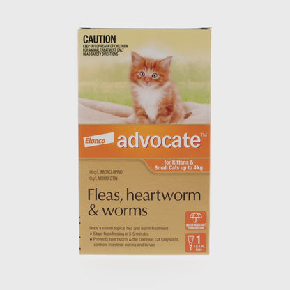 Advocate for Small Cats 0-4kg Orange