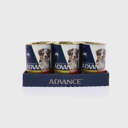 ADVANCE Puppy Plus Growth Chicken & Rice 410g (12pk)